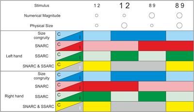 There’s a SNARC in the Size Congruity Task